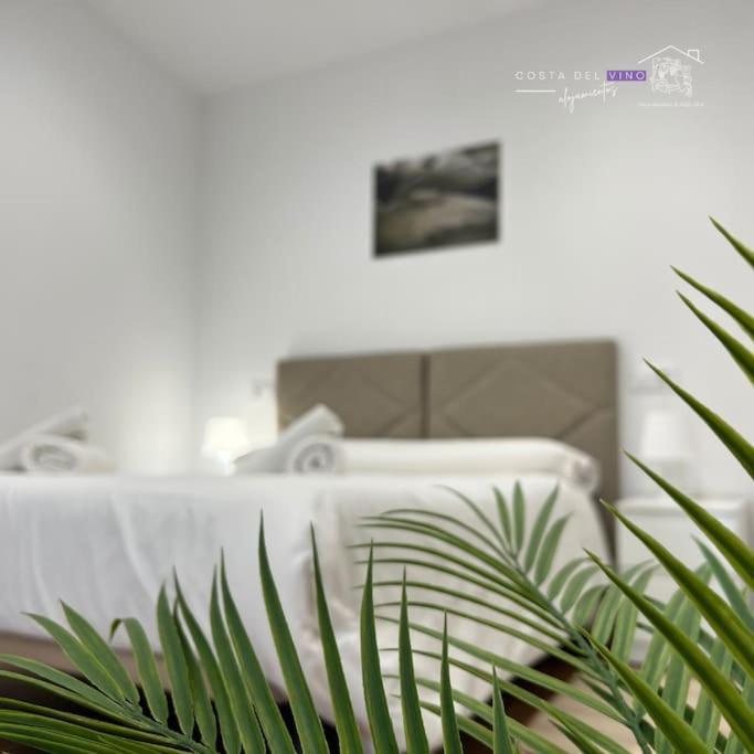 Apartamento El Mozo Labastida Eksteriør bilde